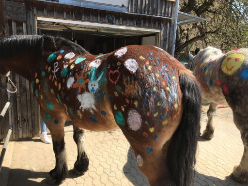 Pony anmalen 2019