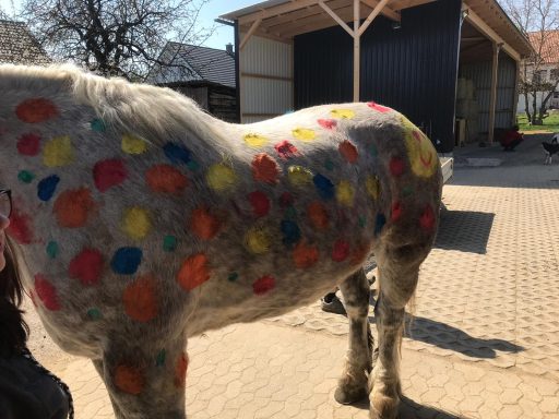 Pony anmalen 2019