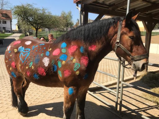 Pony anmalen 2019