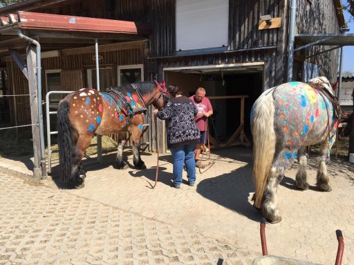 Pony anmalen 2019