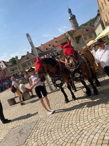 Weikersheim 2024