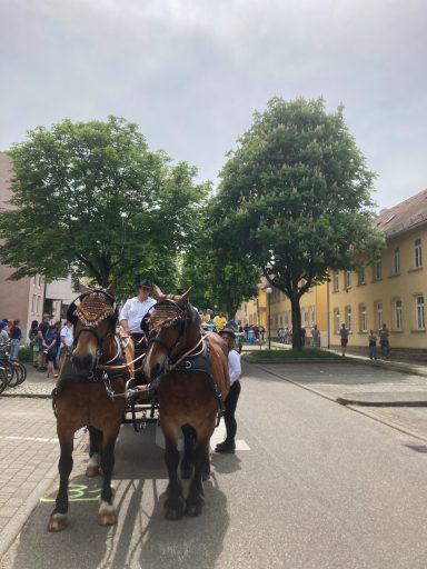 Ludwigsburg 2023