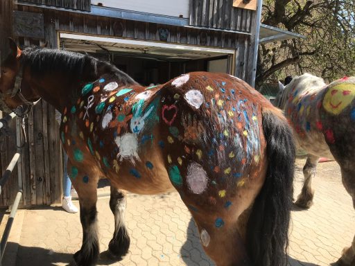 Pony anmalen 2019