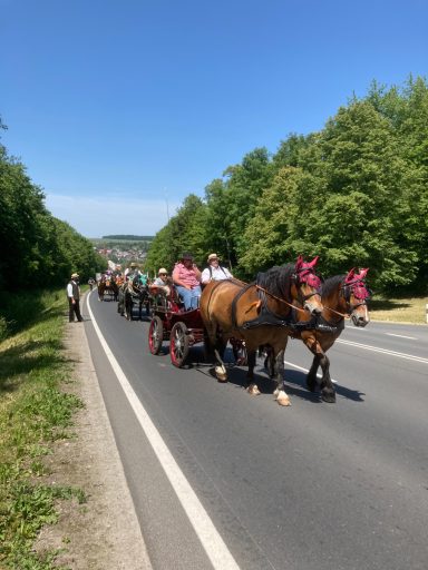 Ochsenfurt 2023