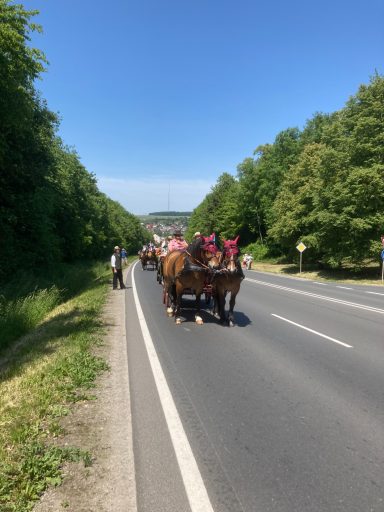 Ochsenfurt 2023