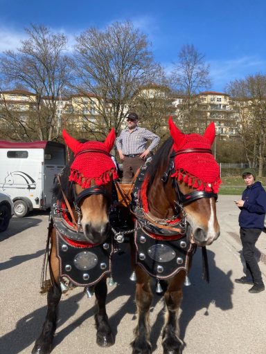 Bad Mergentheim 2024