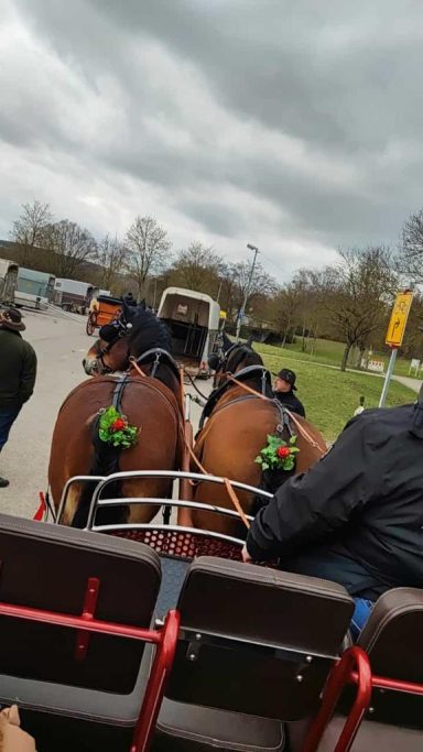 Bad Mergentheim 2023