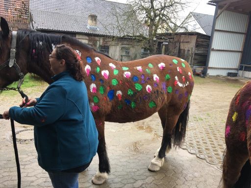 Pony anmalen 2023