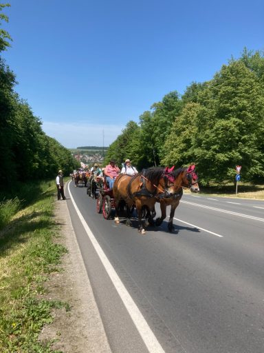 Ochsenfurt 2023