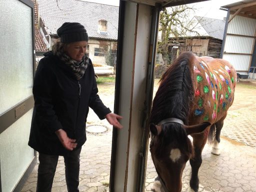 Pony anmalen 2023